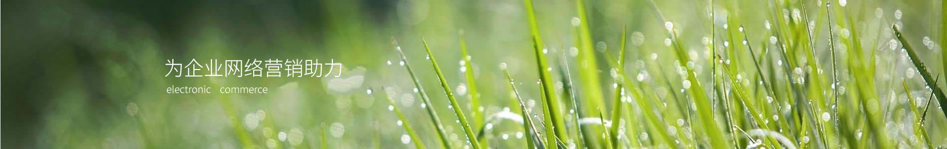 ƽԭԽеƼ޹˾